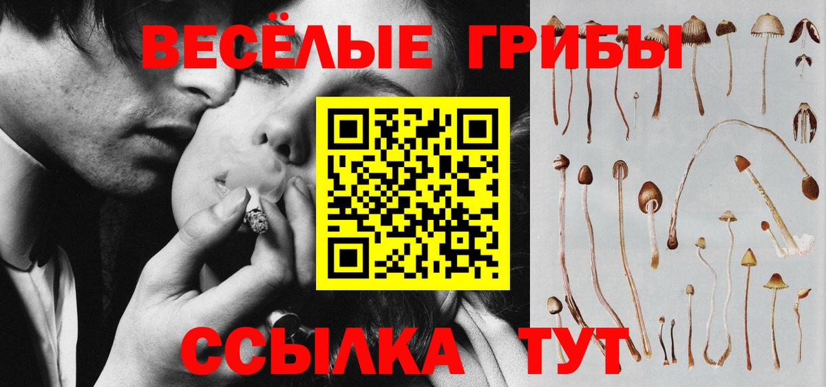Галлюциногенные грибы Magic Shrooms Надым
